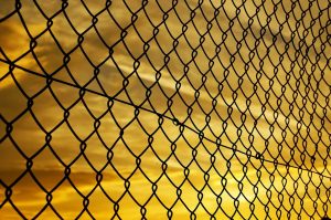 Boston Chain Link Fence chain link 72864 1280 1 300x199
