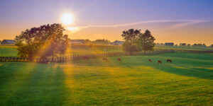 Boston Farm Fencing boston fence farm5 300x150